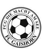 FC Gaishorn